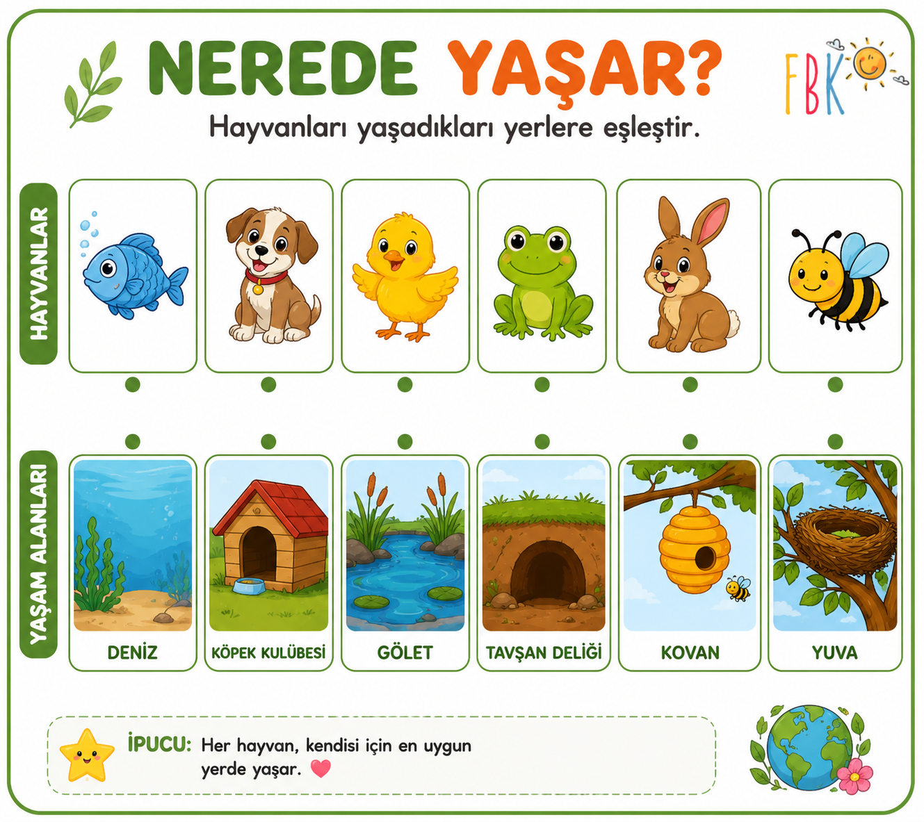 Nerede Yaşar? – Hayvanlar ve Yaşam Alanları Eşleştirme Etkinliği